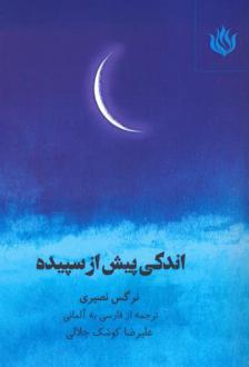 دانلود pdf کتاب اندکی پیش از سپیده نرگس نصیری
