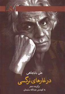دانلود pdf کتاب در غارهای نرگسی علی باباچاهی