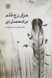 دانلود pdf کتاب هزار رج قلم در انحصار تو محمدعلی میرحسینی