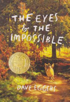 دانلود pdf کتاب The Eyes and the Impossible دیو اگرز
