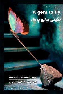 دانلود pdf کتاب نگینی برای پرواز‏‫ نگین خاتونی