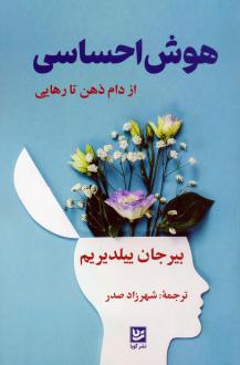 دانلود pdf کتاب هوش احساسی بیرجان ییلدیریم