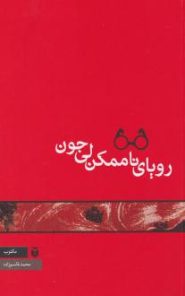 دانلود pdf کتاب رویای ناممکن لی جون محمد قاسم زاده