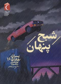 دانلود pdf کتاب شبح پنهان فرانکلین دیکسون