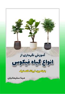 دانلود pdf کتاب آموزش نگهداری از انواع گیاه فیکوس مینا سلیمانیان