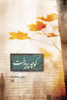 دانلود pdf کتاب کوچه پریدخت نازلی جمال پناه
