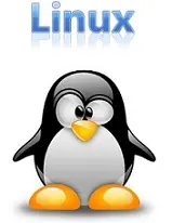 دانلود pdf کتاب کوکی لینوکس به زبان فارسی حسام الدین توحید رایگان