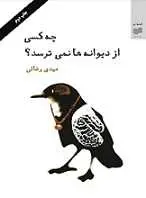 دانلود pdf کتاب چه کسی از دیوانه ها نمیترسد؟ مهدی رضائی رایگان