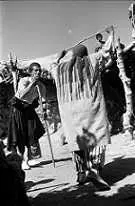 دانلود pdf کتاب واژه نامه بختیاری وحید عالی نژاد رایگان