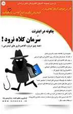 دانلود pdf کتاب چگونه در اینترنت سرمان کلاه نرود رضا فریدون نژاد رایگان