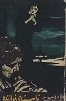 دانلود pdf کتاب ن‍اب‍ی‍ن‍ای‌ ن‍وازن‍ده‌ ولادیمیر کورولنکو رایگان