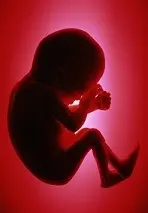 دانلود pdf کتاب راهنمای کشوری انجام زایمان طبیعی اداره سلامت مادران رایگان