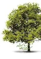 دانلود pdf کتاب سرگذشت بشر هادی بیگدلی رایگان