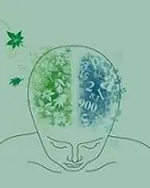 دانلود pdf کتاب بازتاب شرطی حمید آذرمنش رایگان