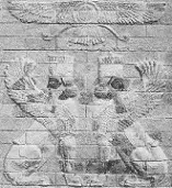 دانلود pdf کتاب فرهنگ نامهای کردی و اصیل ایرانی رایگان