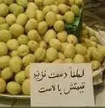 دانلود pdf کتاب علت تورم و افزایش مستمر قیمتها در کشور سید حسین بلادی رایگان