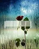 دانلود pdf کتاب انقلاب علیه جرجیو و شکوفه رایگان