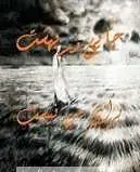 دانلود pdf کتاب جایی در بهشت برای من نیست شهرزاد مشیری رایگان