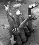 دانلود pdf کتاب عالم عجیب ارواح سید حسن ابطحی رایگان