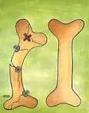 دانلود pdf کتاب چگونه از پوکی استخوان جلوگیری کنیم؟ حمید امینی رایگان