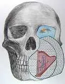 دانلود pdf کتاب نقاشی های کودکی که فیلسوف شد شورش یوسفی رایگان