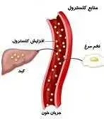 دانلود pdf کتاب کلسترول و اثرات آن رایگان
