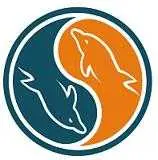 دانلود pdf کتاب راهنمای سریع استفاده از پایگاه داده MySQL حمزه خزایی رایگان