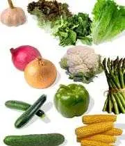 دانلود pdf کتاب راهنمای نگهداری میوه جات و سبزی جات دکتر عبدالقیوم خان رایگان