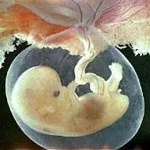 دانلود pdf کتاب روش های انتخاب جنسیت جنین دکتر شیرین فرجی گودرزی رایگان