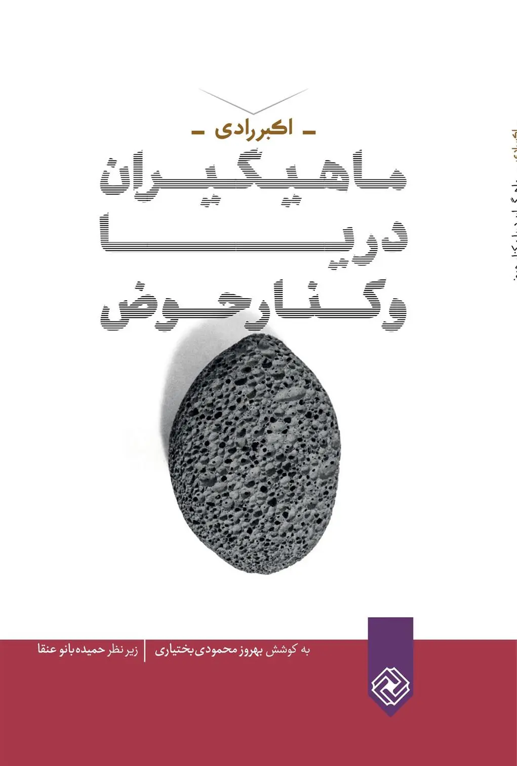 دانلود pdf کتاب ماهیگیران دریا و کنار حوض اکبر رادی