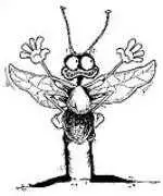 دانلود pdf کتاب خرمگس اتل لیلیان وینیچ رایگان