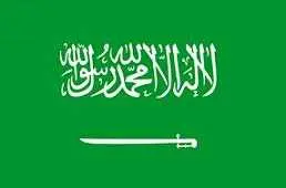 دانلود pdf کتاب PDF وضعیت شیعه در عربستان محمد علی مهدوی راد رایگان