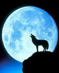 دانلود pdf کتاب اندوه ماه آرش حجازی رایگان