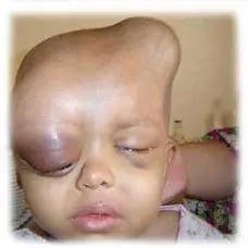 دانلود pdf کتاب PDF برسی اثرات اورانیوم ضعیف شدن بر انسان و محیط دکتر پروین نصیری رایگان