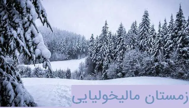 دانلود pdf رمان زمستان مالیخولیایی رایگان
