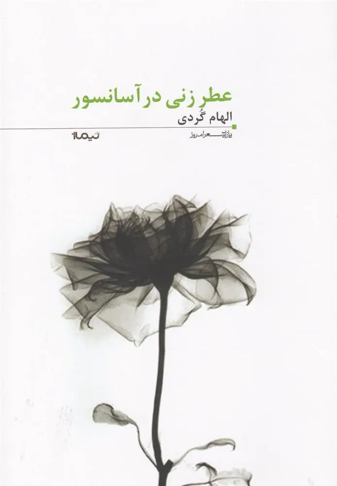 دانلود pdf کتاب عطر زنی در آسانسور الهام گردی