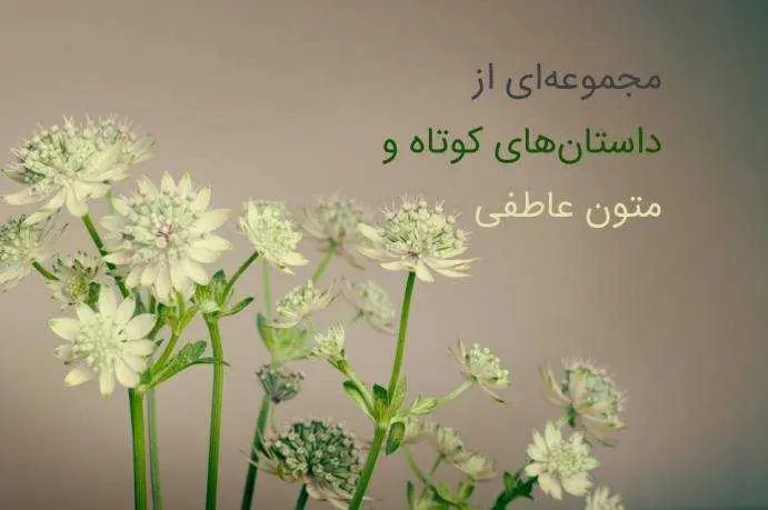 دانلود pdf کتاب مجموعه‌ای از داستان‌های کوتاه و متون عاطفی رایگان
