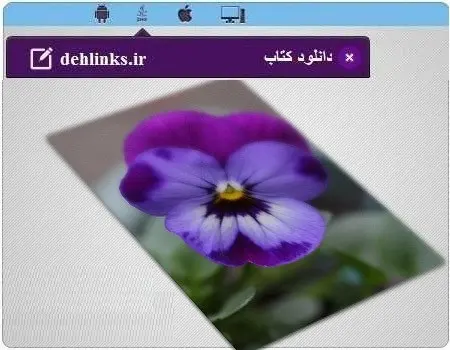 دانلود pdf رمان دره بنفشه‌ها رایگان
