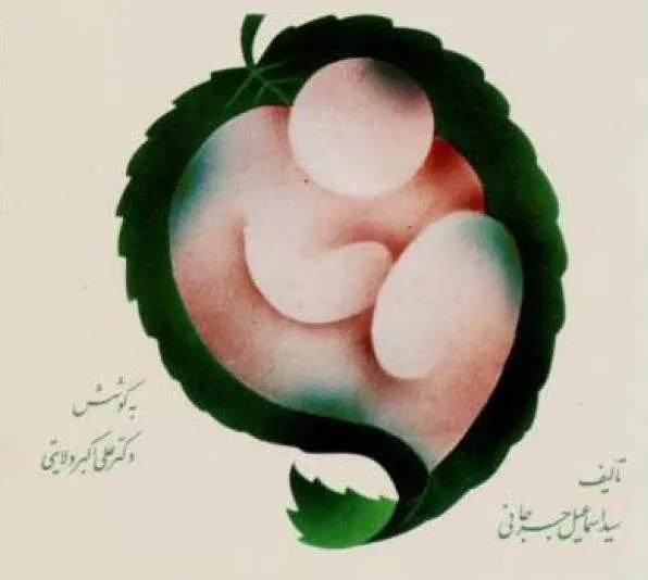 دانلود pdf کتاب خفی علایی (حکیم جرجانی) رایگان