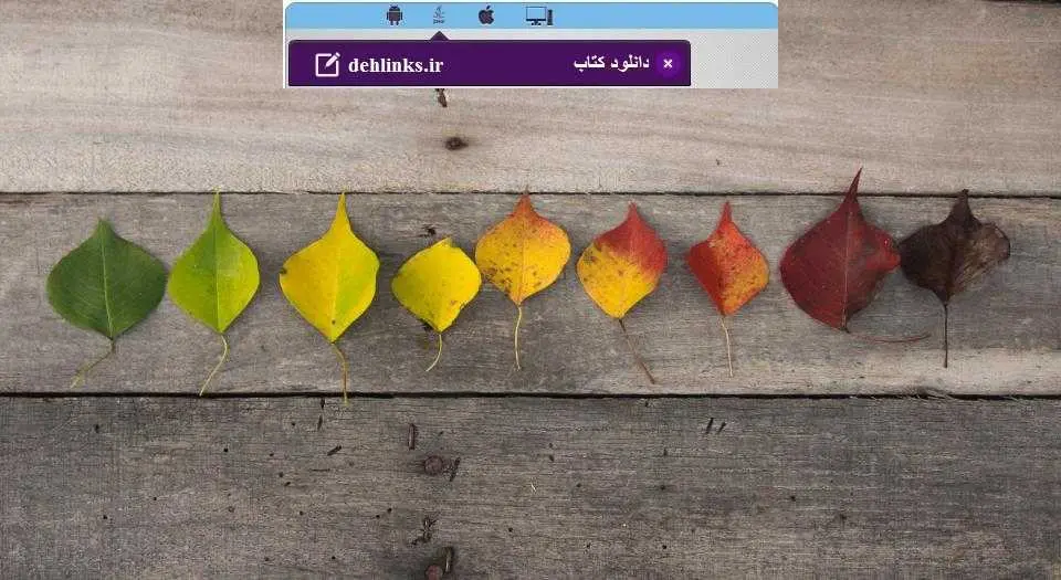 دانلود pdf رمان طعم زندگی رایگان