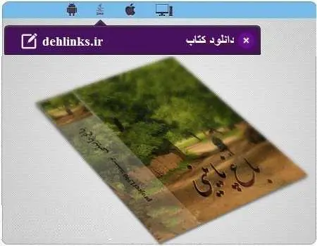 دانلود pdf رمان ایرانی باغ پایینی رایگان