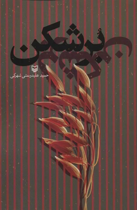 دانلود pdf کتاب برشکن حمید علیدوستی شهرکی