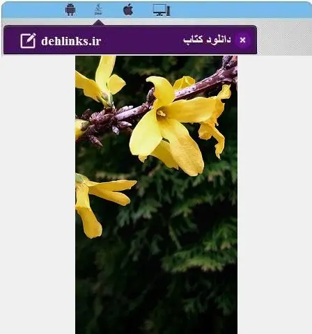 دانلود pdf رمان زیبای سفید برفی مخصوص موبایل شاداب حسنی رایگان