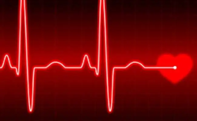 دانلود pdf کتاب مقاله: تأثیر عشق بر روی نبض رایگان