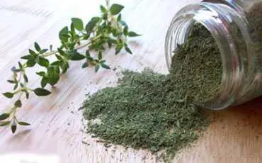 دانلود pdf کتاب مقاله: آویشن در طب سنتی ایران رایگان