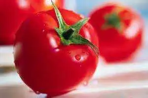 دانلود pdf کتاب دریافت گوجه‌فرنگی (کاشت، افزایش کیفیت و…) رایگان