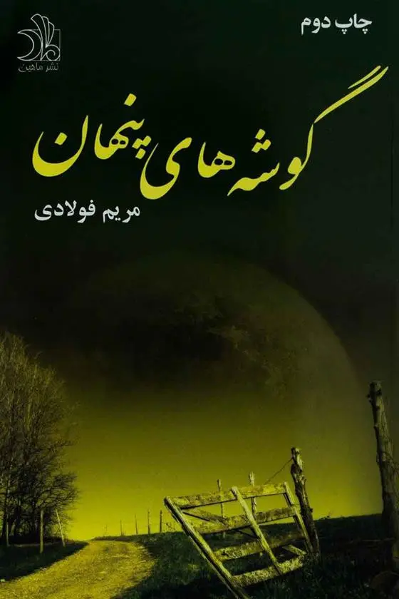 دانلود pdf کتاب گوشه های پنهان مریم فولادی