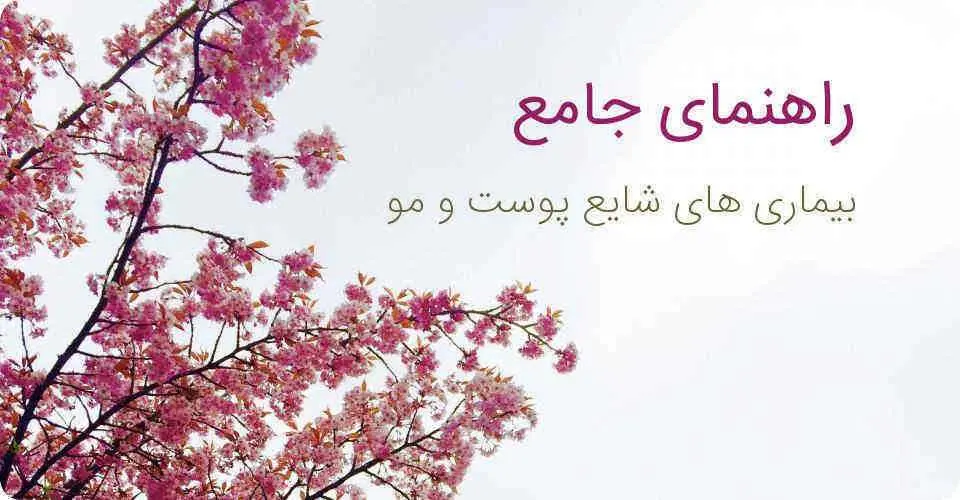 دانلود pdf کتاب راهنمای جامع بیماری‌های شایع پوست و مو رایگان