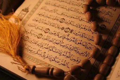 دانلود pdf کتاب آموزش تجوید قرآن (سطح 1، دوره مقدماتی) رایگان