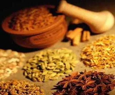 دانلود pdf کتاب سلامت طبیعی داروهای طبیعی رایگان